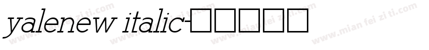 yalenew italic字体转换